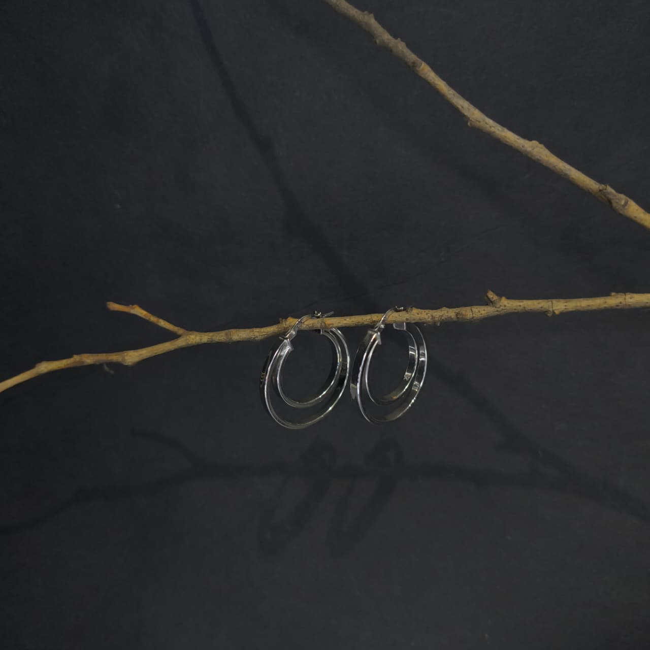 Silver Twin Circle Modern Earring