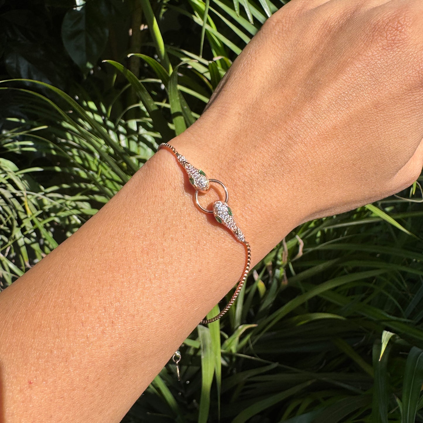 Bracelet on a wrist with a green leafy background