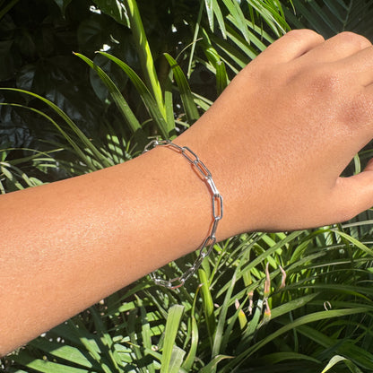Hand wearing a silver chain bracelet with green foliage in the background