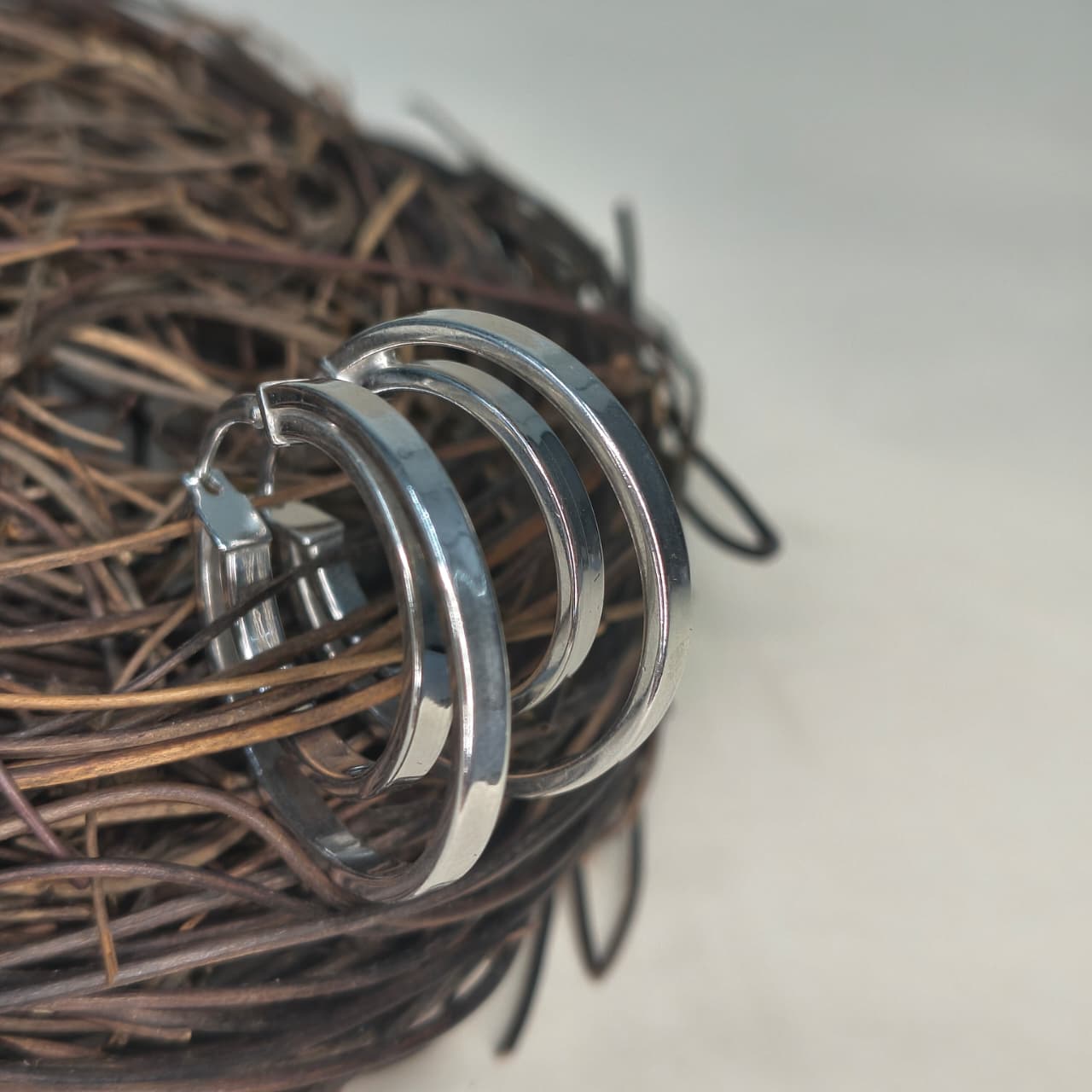 Silver Twin Circle Modern Earring