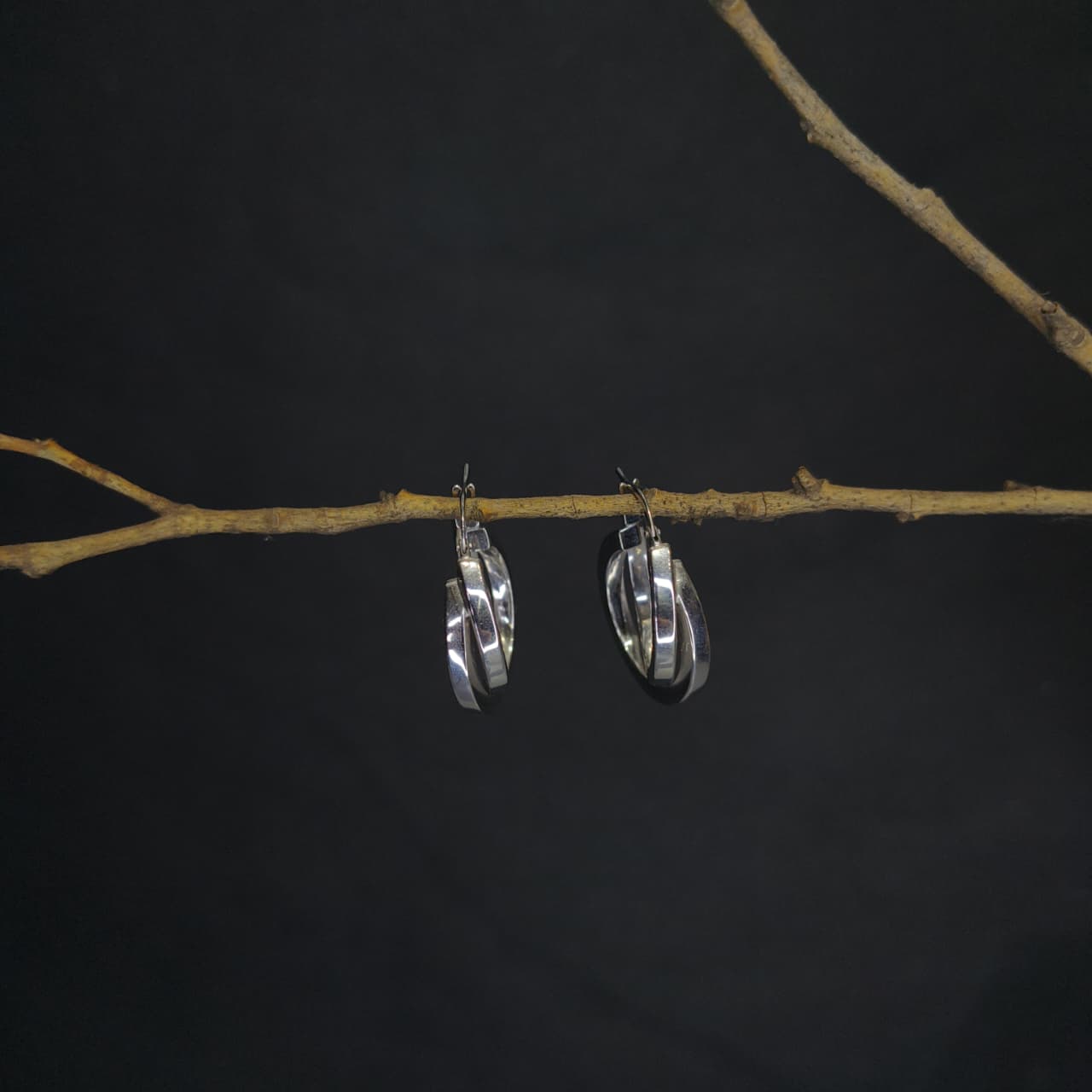 Silver Twin Twisted Earring