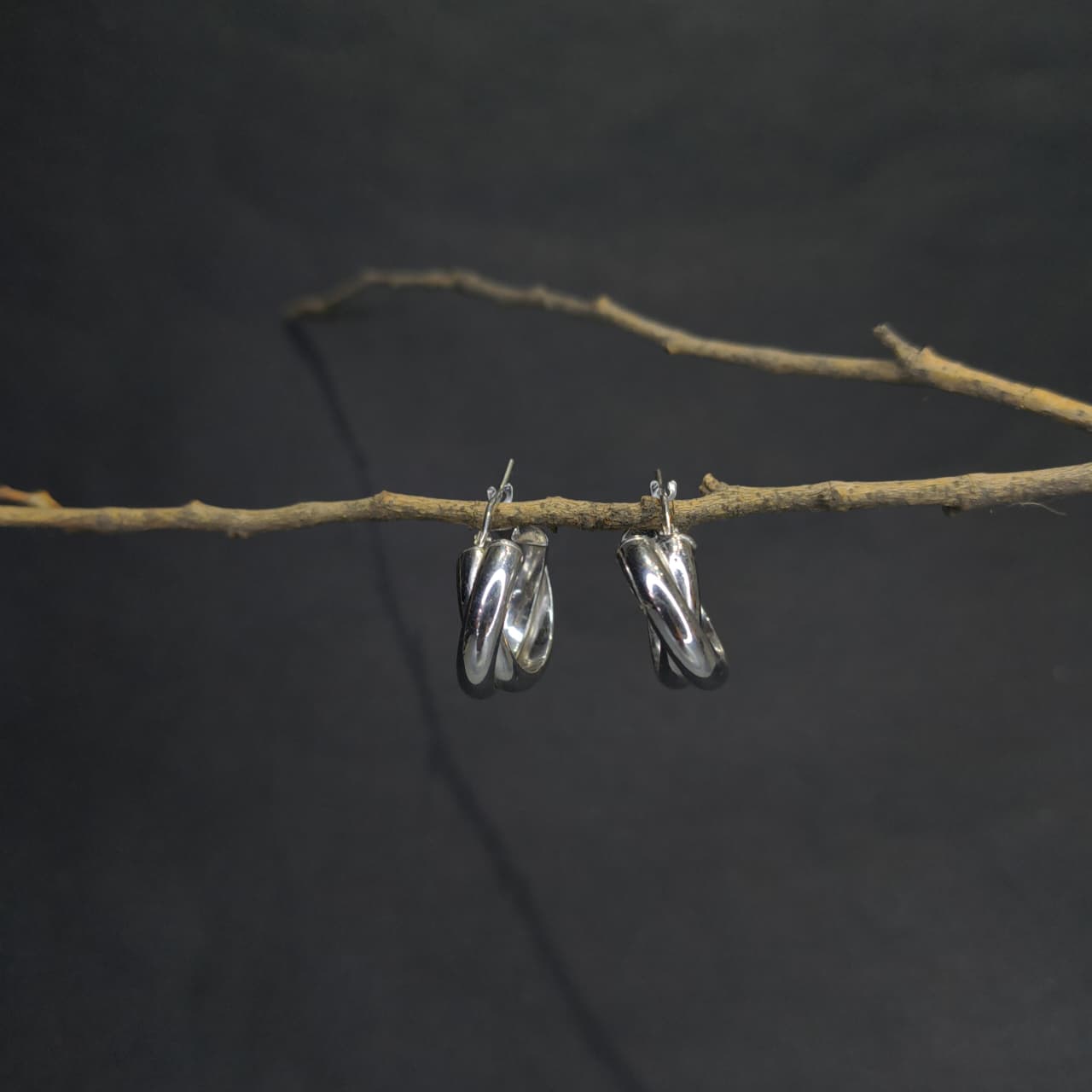 Silver Twin Twisted Round Earring